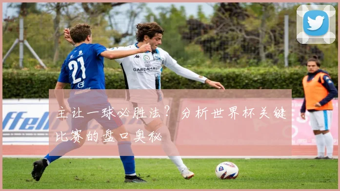 主让一球必胜法?分析世界杯关键比赛的盘口奥秘