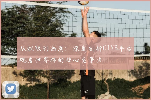 从权限到画质:深度剖析CINB平台观看世界杯的核心竞争力