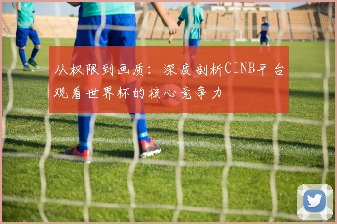 从权限到画质:深度剖析CINB平台观看世界杯的核心竞争力