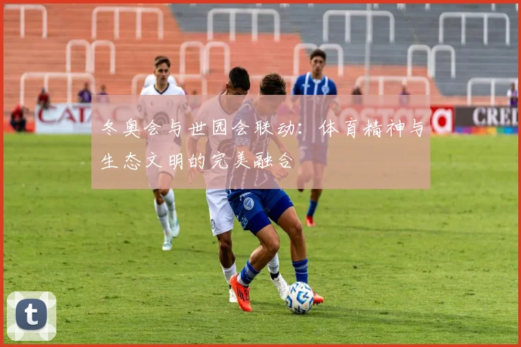 冬奥会与世园会联动：体育精神与生态文明的完美融合