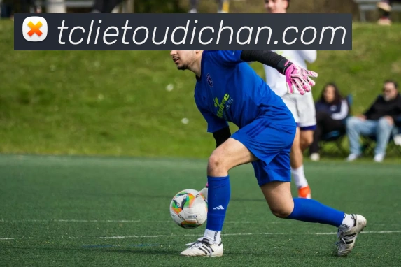 开云在线登录界面APP 封面图